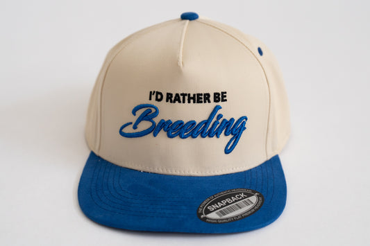 Premium Snapback - Blue & Cream